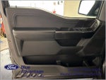 2021 F-150 Thumbnail 13