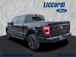 2021 F-150 Thumbnail 21
