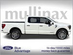 2021 F-150 Thumbnail 3