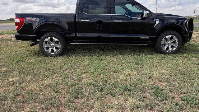 2021 Ford F-150 Platinum