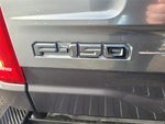 2021 F-150 Thumbnail 10