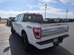 2021 F-150 Thumbnail 6