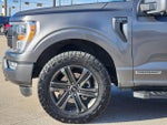 2021 F-150 Thumbnail 10
