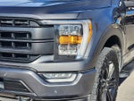 2021 F-150 Thumbnail 11