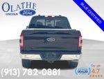 2022 F-150 Thumbnail 5