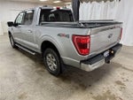 2023 F-150 Thumbnail 9