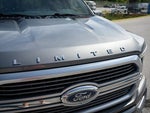 2023 F-150 Thumbnail 9