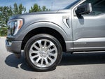2023 F-150 Thumbnail 12