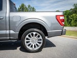 2023 F-150 Thumbnail 17