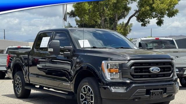Preowned 2023 Ford F-150 XLT for Sale