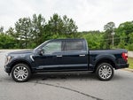 2023 F-150 Thumbnail 14