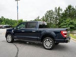 2023 F-150 Thumbnail 17