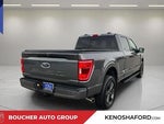 2023 F-150 Thumbnail 5