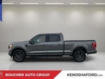 2023 F-150 Thumbnail 8