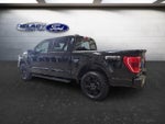 2023 F-150 Thumbnail 4