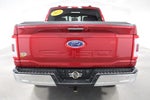 2023 F-150 Thumbnail 8