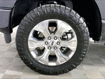 2023 F-150 Thumbnail 6