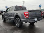 2023 F-150 Thumbnail 6