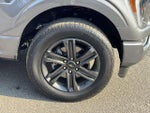 2023 F-150 Thumbnail 8