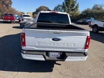 2023 F-150 Thumbnail 4