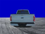 2023 F-150 Thumbnail 5