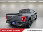 2023 F-150 Thumbnail 5