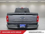 2023 F-150 Thumbnail 6