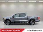 2023 F-150 Thumbnail 8