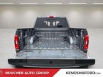 2023 F-150 Thumbnail 9
