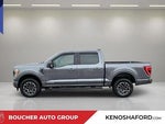 2023 F-150 Thumbnail 8