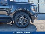 2023 F-150 Thumbnail 11