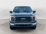 2023 F-150 Thumbnail 8