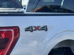 2023 F-150 Thumbnail 6