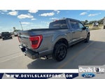 2023 F-150 Thumbnail 10