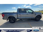 2023 F-150 Thumbnail 11