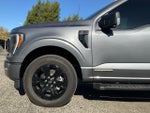 2023 F-150 Thumbnail 12