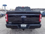 2023 F-150 Thumbnail 14