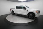 2023 F-150 Thumbnail 13