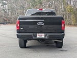 2023 F-150 Thumbnail 6