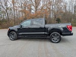 2023 F-150 Thumbnail 11