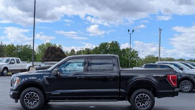 2023 Ford F-150 Limited