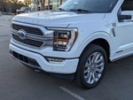 2023 F-150 Thumbnail 10