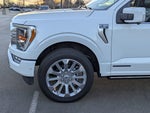 2023 F-150 Thumbnail 11