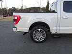 2023 F-150 Thumbnail 40