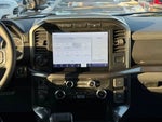 2023 F-150 Thumbnail 14