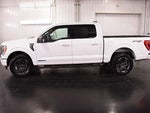 2023 F-150 Thumbnail 4