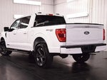 2023 F-150 Thumbnail 5