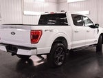 2023 F-150 Thumbnail 8