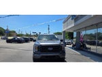 2023 F-150 Thumbnail 4