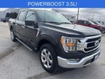 2023 F-150 Thumbnail 1